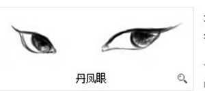 丹凤眼是什么样的(丹凤眼是什么样子的)