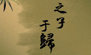 很多人讲的于归之喜是什么(于归之喜指的是什么)