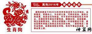 2017年6月狗人运势(2017年狗人的全年运势如何)