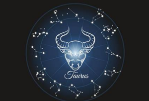 金牛座第一星座网本年运势-神算网(2021第一星座网金牛座全年运)