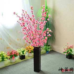 风水摆桃花物品有哪些(风水摆桃花物品有哪些讲究)