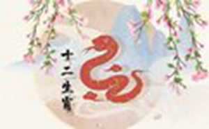 属蛇人未来5年运势