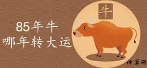 85年属牛吉祥手机号