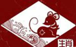 属鼠人未来5年运势
