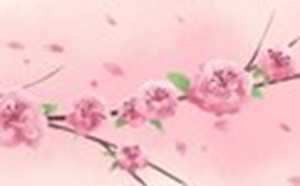 正缘的表现(正缘的表现)