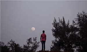 孕妇梦到老公出轨要离婚(孕妇梦到老公出轨要离婚什么意思)