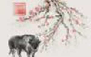 1973年属牛今天的财运如何(1973年属牛的今日运势)