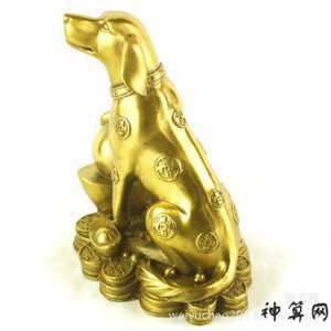 风水摆放狗如何解(摆放狗与风水学)