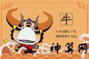 2018年属牛射手运势完整版(2018年属牛的运势如何)
