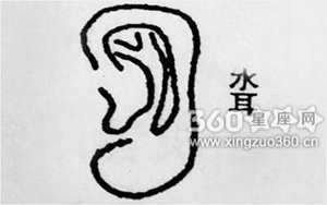 午时左耳鸣(左耳中午鸣风水怎么说)