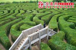 梦见去走迷宫(做梦梦到走迷宫和学校)
