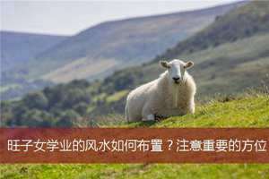 有效学业风水是什么