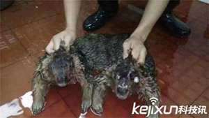 做梦梦见被水鬼追赶(做梦梦见被水鬼追)