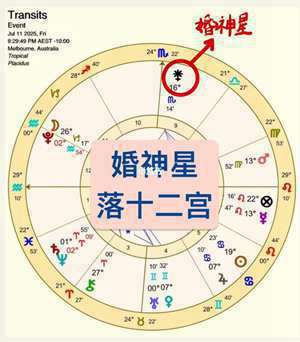 婚神星座在线查询表(婚神星座在线查询)