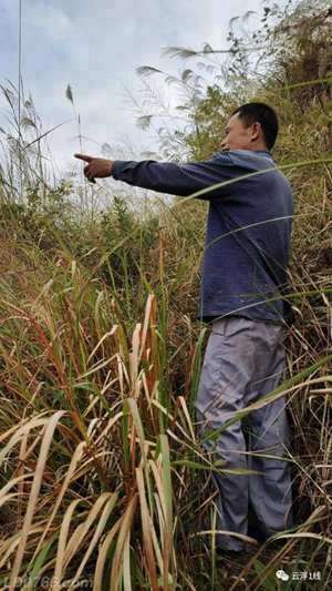 云浮十大风水名地是哪些(云浮十大风水名地)