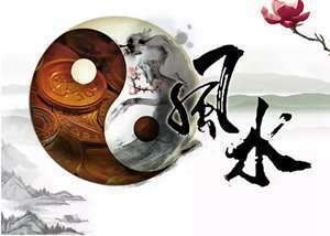 我想问风水大师(风水大师去哪情)
