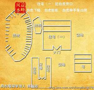 阳宅犯白虎(阴宅风水最怕白虎过堂)