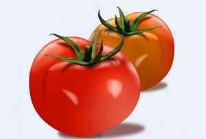 做梦梦见摘番茄吃(做梦梦见摘番茄)