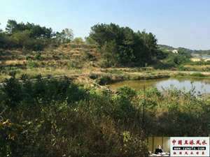 杨公砂峰秘诀(杨公风水峰砂)