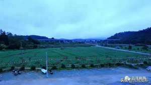 云浮安塘大地风水如何(云浮安塘大地风水)
