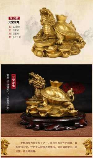 镇宅龟放在什么位置(镇宅龟风水)