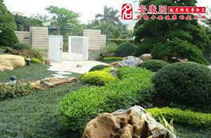 院子植物风水好,招财,身体好(院子植物风水)