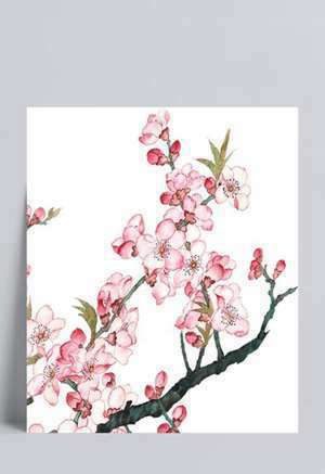 桃花宅风水不好(住宅风水桃花)