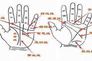 贵人线是哪一条图(贵人线是哪一条)