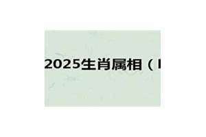 明年是啥年2025生肖(明年是啥年)