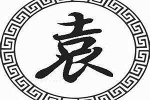 袁姓女宝宝起名龙(袁姓女宝宝起名)