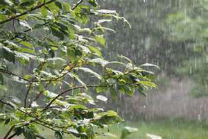 下雨的季节是哪个季节(下雨的季节)