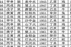 1995乙亥年五行属什么(1989年五行)