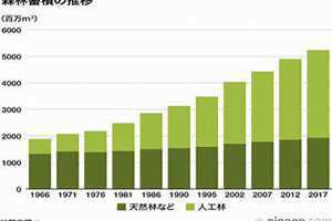 林表明霁色 林表示什么意思