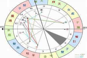 太阳在子女宫什么意思(太阳在子女宫)