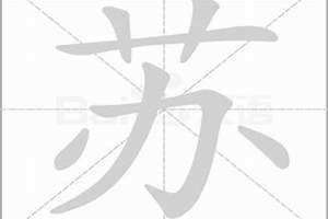 苏字取名男孩名字大全(苏字取名)