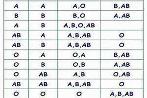 血型怎么看化验单 血型怎么看结果