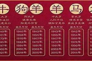 2024年是什么生肖年份五行(2024年是什么生肖年)