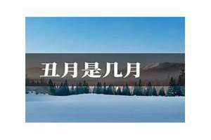 2024年丑月是农历几月 卯月是农历几月