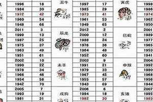 49岁属什么的正确答案 49岁属什么的