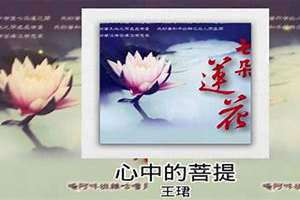 心中的菩提是什么意思呢 心中的菩提原唱