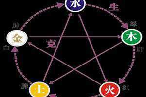 五行金代表什么器官 五行金代表什么职业