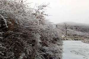 今年会下雪吗湖南(今年会下雪吗)