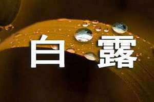 农历宜忌是什么意思(宜忌是什么意思)