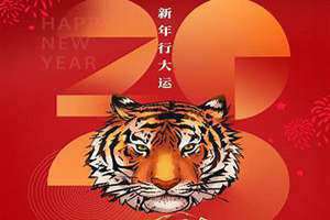 2022虎年属于五行属什么(2022虎年)