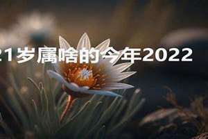 今年21岁属啥的哪年出生 20周岁21虚岁是属啥的