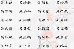 吴姓取名