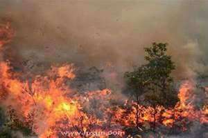 梦见失火了是什么预兆女性(梦见失火了)