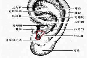 耳轮是哪个部位 耳轮有痣的男生