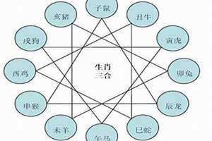 羊和龙的属相合不合(羊和蛇的属相合不合)