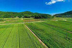 田地什么四字词语 田地什么什么